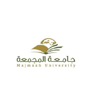 Local Partner